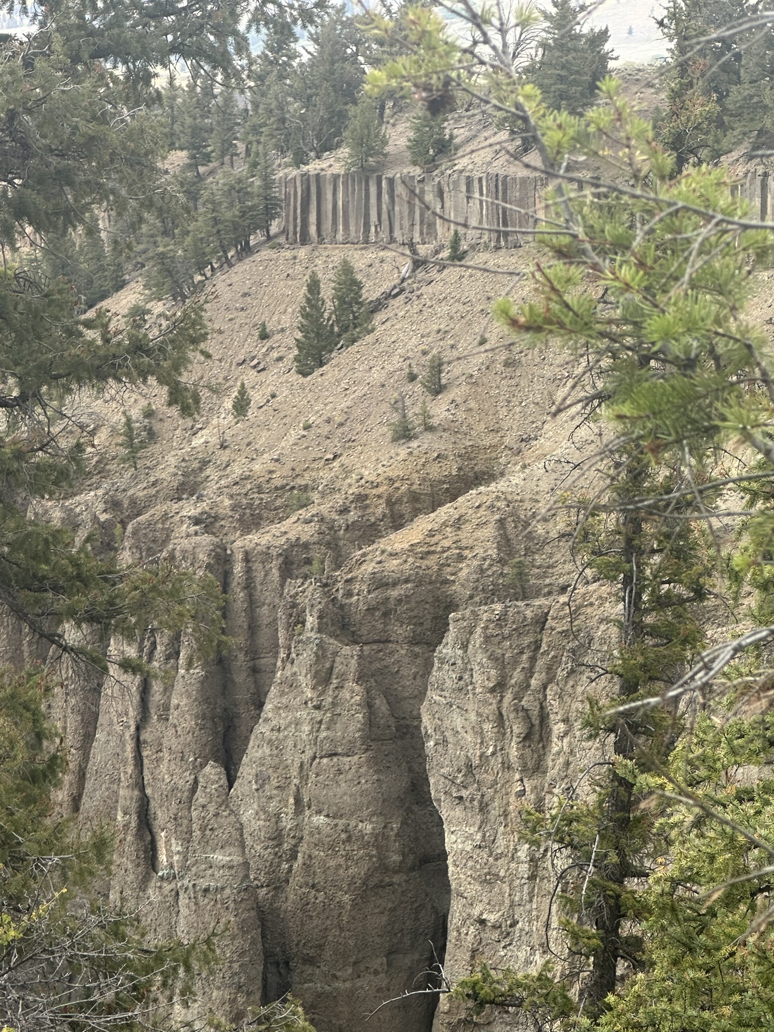 Yellowstone And Grand Teton National Parks - Image 870